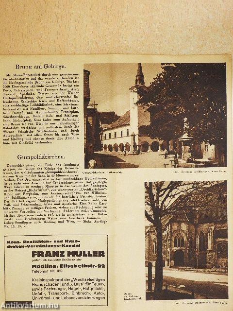 Führer Mödling und Umgebung