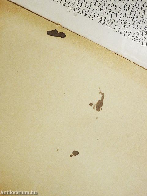 Correggio (gótbetűs)