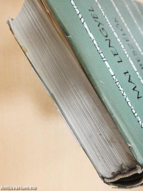 Mai lengyel elbeszélők