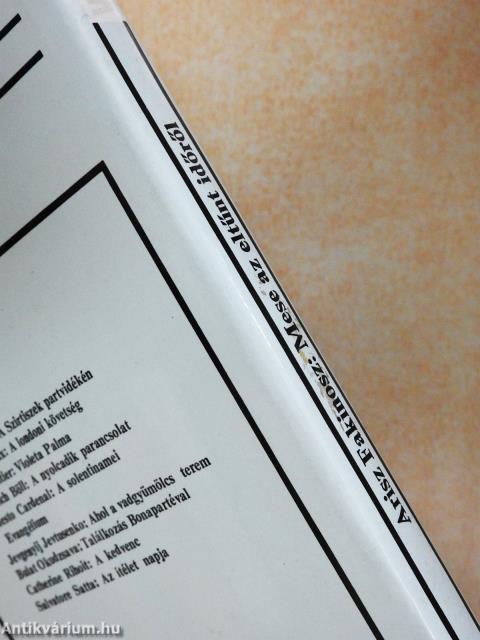 Mese az eltűnt időről