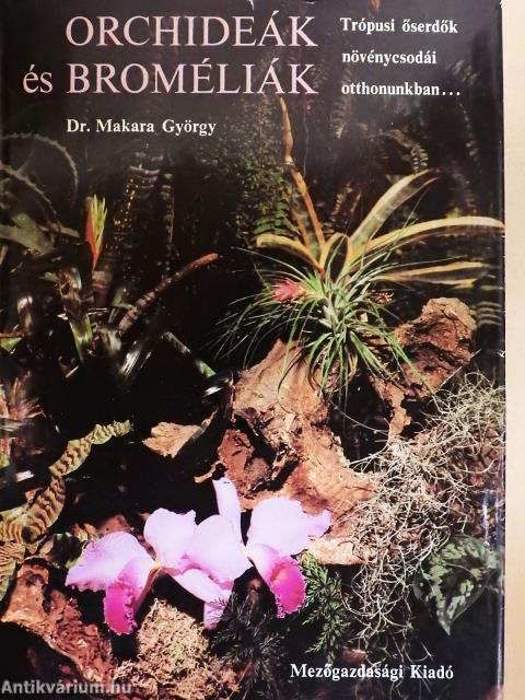 Orchideák és broméliák