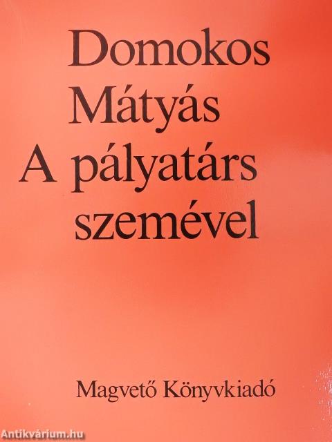 A pályatárs szemével