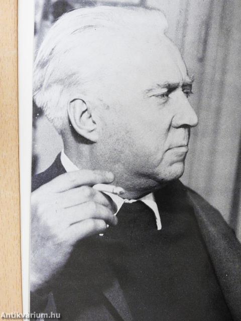 A visszahívott tenger