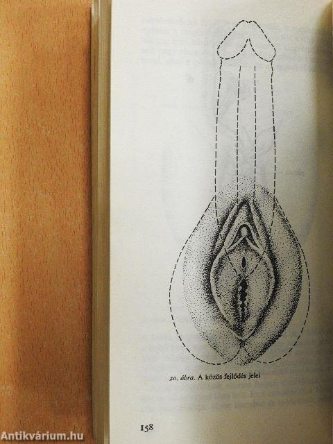 Szexuálpszichológia