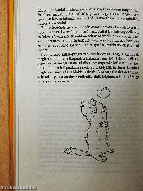 Miért csinálja...? A macska