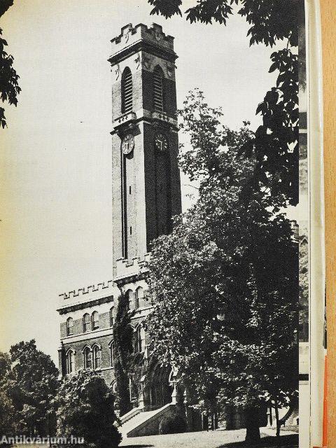 Levelek Tennessee-ből