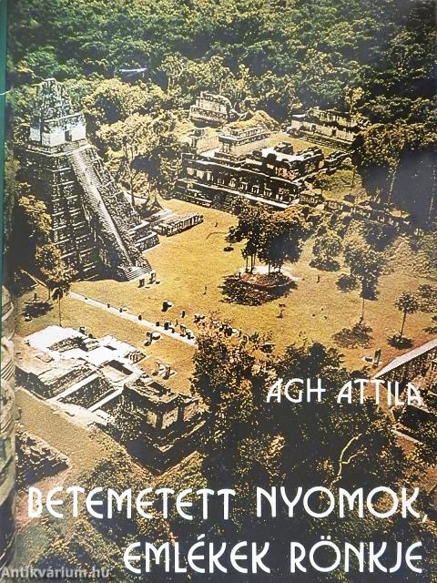 Betemetett nyomok, emlékek rönkje