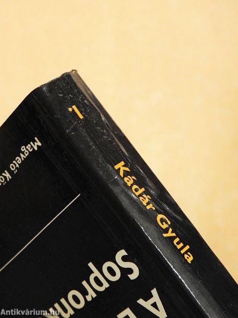 A Ludovikától Sopronkőhidáig I-II.