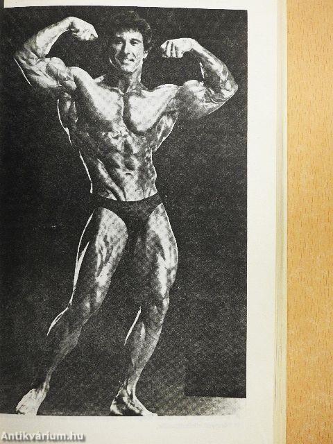 A body building királyai
