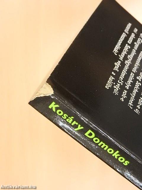 Széchenyi Döblingben