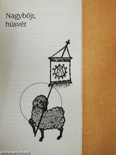 A bölcsesség iskolája