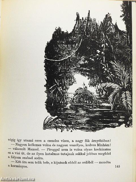 Nyolcszáz mérföld az Amazonason