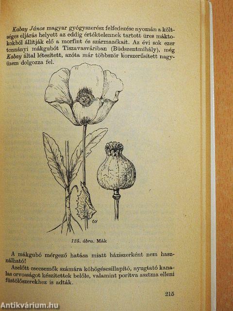 Gyógyító növények