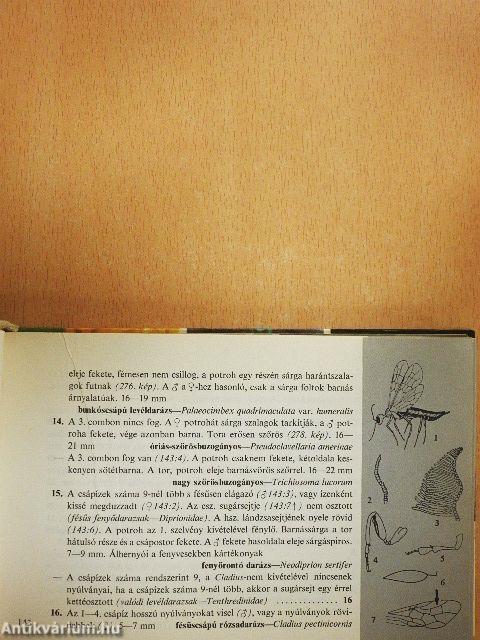 Kis állathatározó