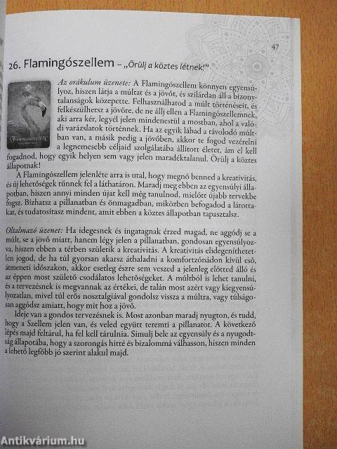 Segítő állataink szellemének üzenete