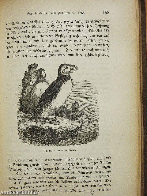 Die Nordpolarreisen Adolf Erik Nordenskjöld's  (gótbetűs)
