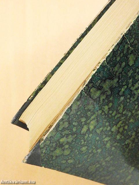 Geschichte der poetischen Theorie und Kritik I-II. (gótbetűs)