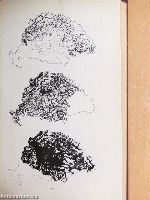 Európáról és Magyarországról