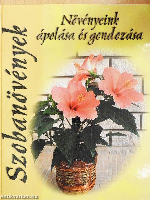 Szobanövények