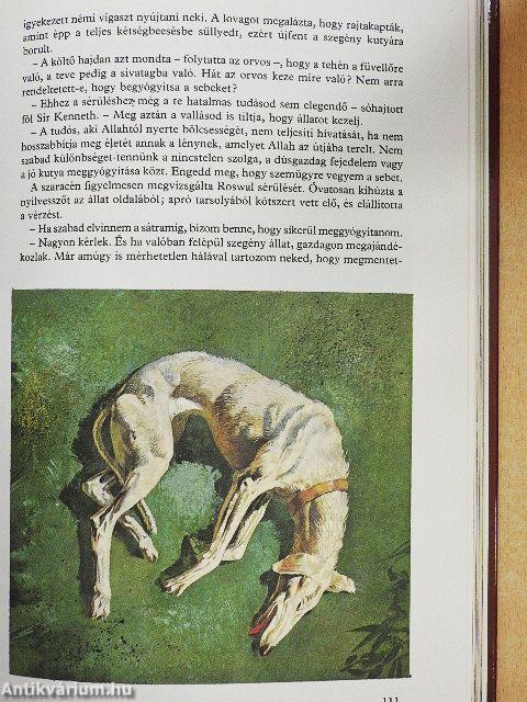 Oroszlánszívű Richárd