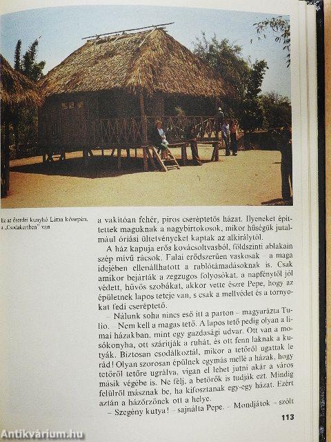 Pepe a Királyok Városában