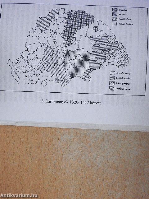 Tájszemlélet és térszervezés a középkori Magyarországon