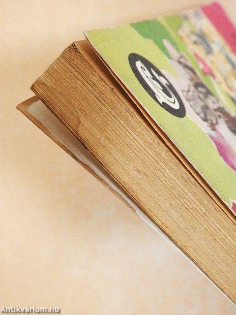 Az ezüstkardú vitéz