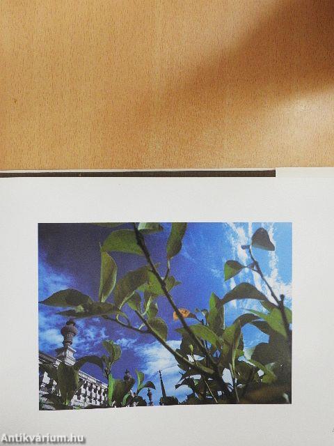 Romantico Lago Maggiore