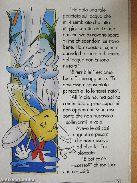 Insetti a non finire