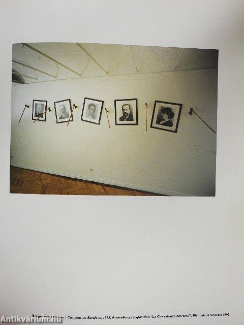 Kommentar zu Europa 1994