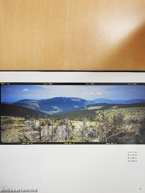 Jeseníky panoramatické