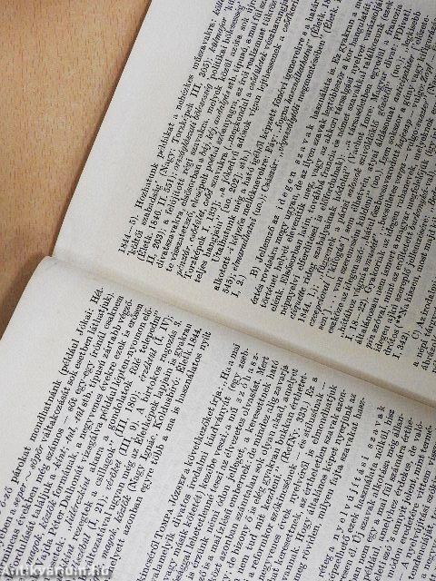 A fiatal Jókai nyelve és stílusa