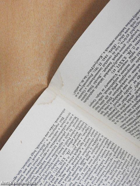 A fiatal Jókai nyelve és stílusa