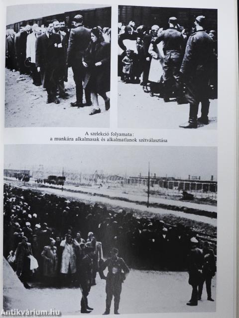 A magyar holocaust I-II.