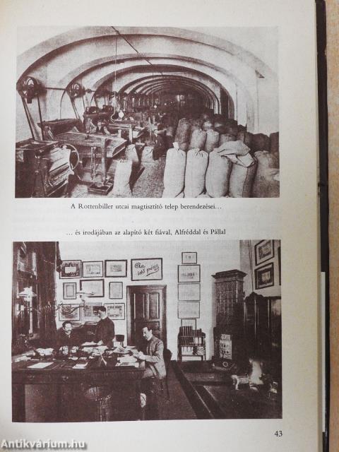 Régi boltok krónikája