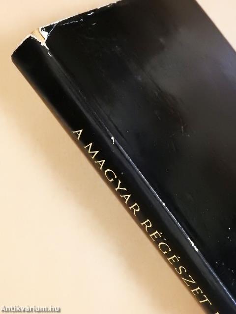 A magyar régészet regénye