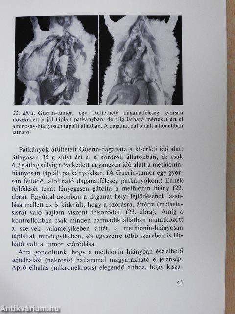 Táplálkozás - egészség, betegség