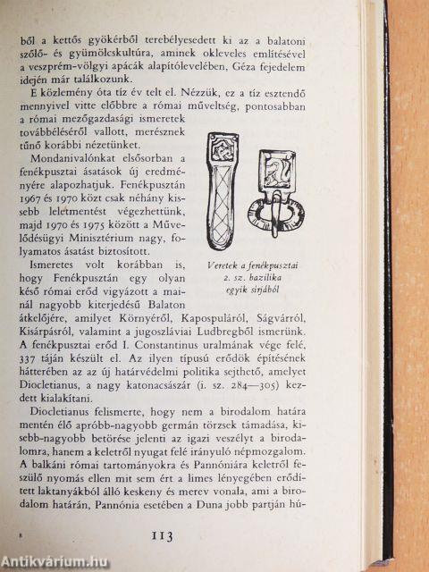 Régészeti barangolások Magyarországon