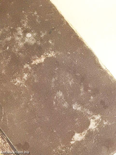 Uj teljes magyar és német szótár