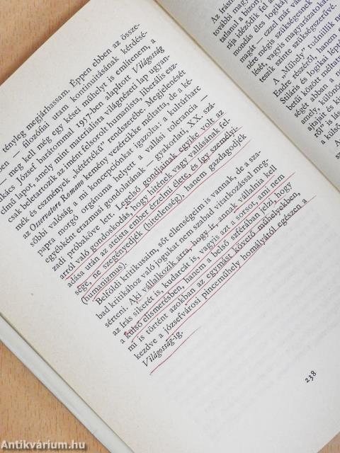 Műhelyeim története