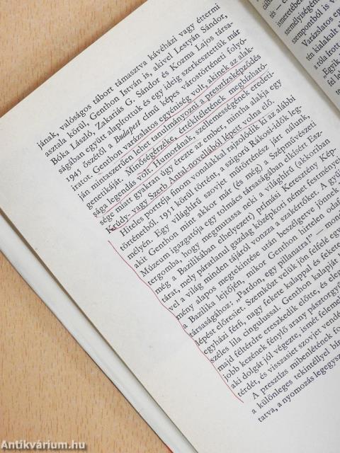 Műhelyeim története