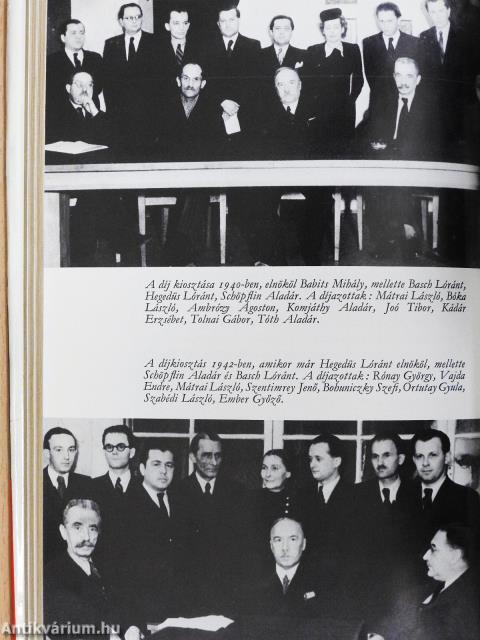 Műhelyeim története