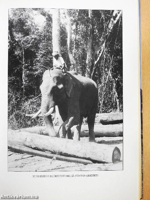 Jeles világjárók nyomdokain 1-2.