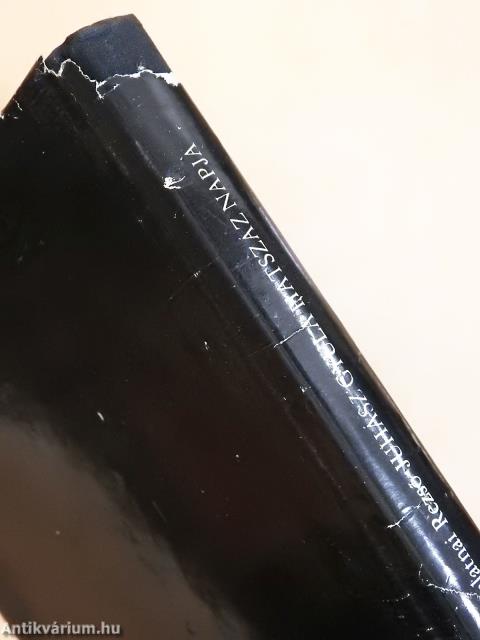 Juhász Gyula hatszáz napja