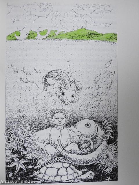 Göndörű nyírfácska