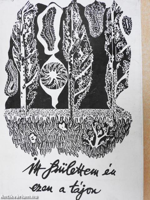 Itt születtem én ezen a tájon