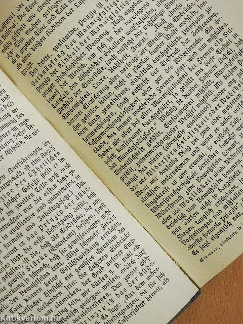 Einführung in die Ästhetik der Gegenwart (gótbetűs)