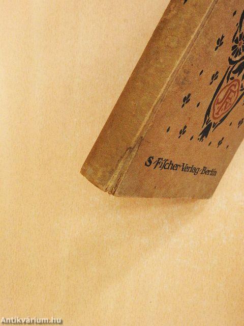 Exotische Novellen (gótbetűs)