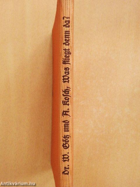 Was fliegt denn da? (gótbetűs)