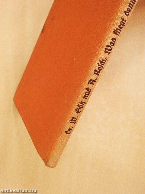 Was fliegt denn da? (gótbetűs)